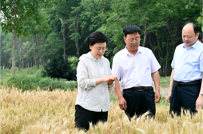 1748422143299.png 1748422143299.png